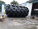 Boat Pneumatic Rubber Fenders With Tyre And Chain