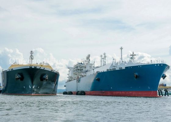 Calidad Desgaste de la certificación de CCS - defensa marina neumática resistente con el tubo de goma fábrica