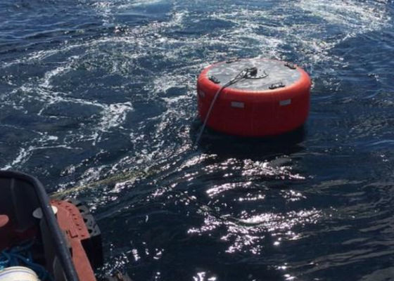 Calidad Material marino del polietileno de EVA de la boya de amarre del buque con alto rendimiento fábrica