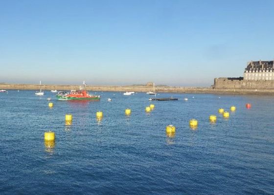 Calidad Capacidad de cargamento más alta marina de la boya de amarre de la firmeza fuerte del tiempo para flotar la plataforma fábrica