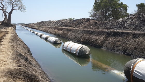Calidad Muelle seco de la nave de Marine Lunching Rubber Airbag For de la certificación del ISO 17357 fábrica