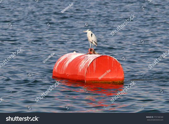 Calidad Boya que amarra de acero grande de la alta flotabilidad que flota a Marine Buoys For Yacht fábrica