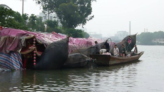 Calidad Defensa flotante de goma del barco de la defensa de Marine Inflatable Boat Hydro Pneumatic fábrica